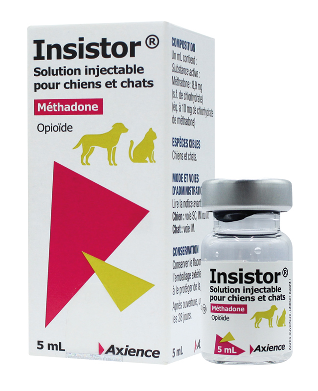 Insistor