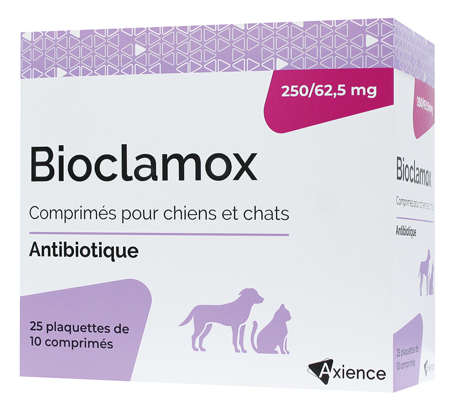 Bioclamox 250/62,5 mg