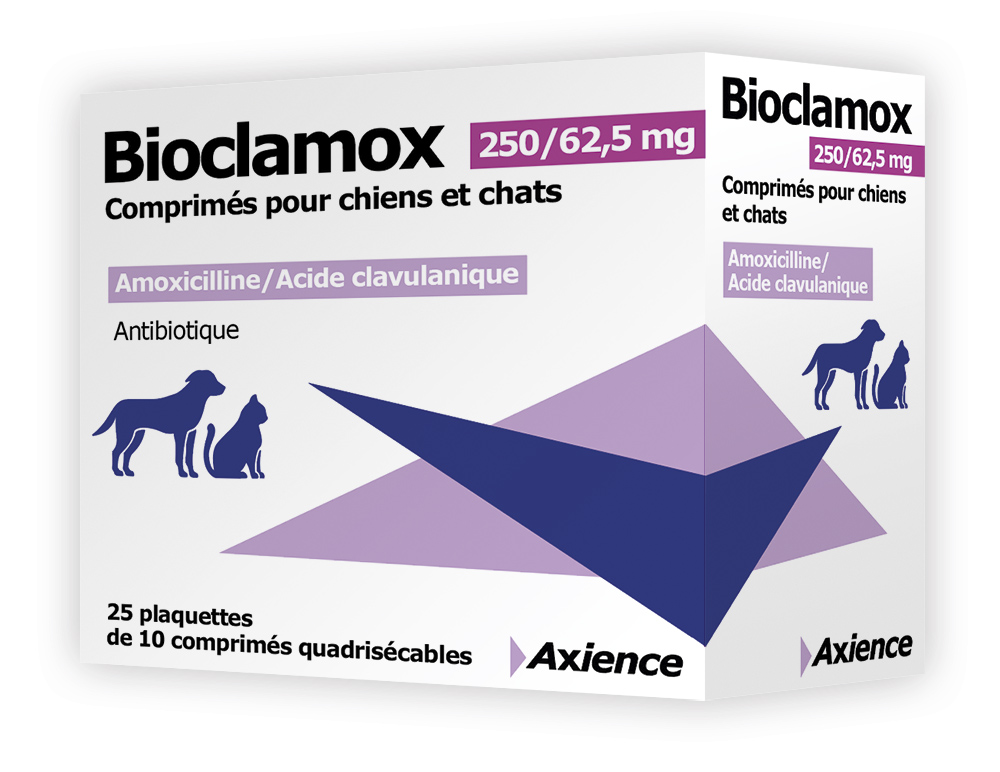 Nos Produits Bioclamox 250 62 5 Mg