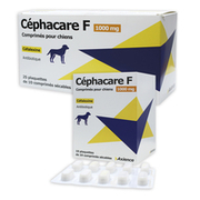 Céphacare F 1000 mg