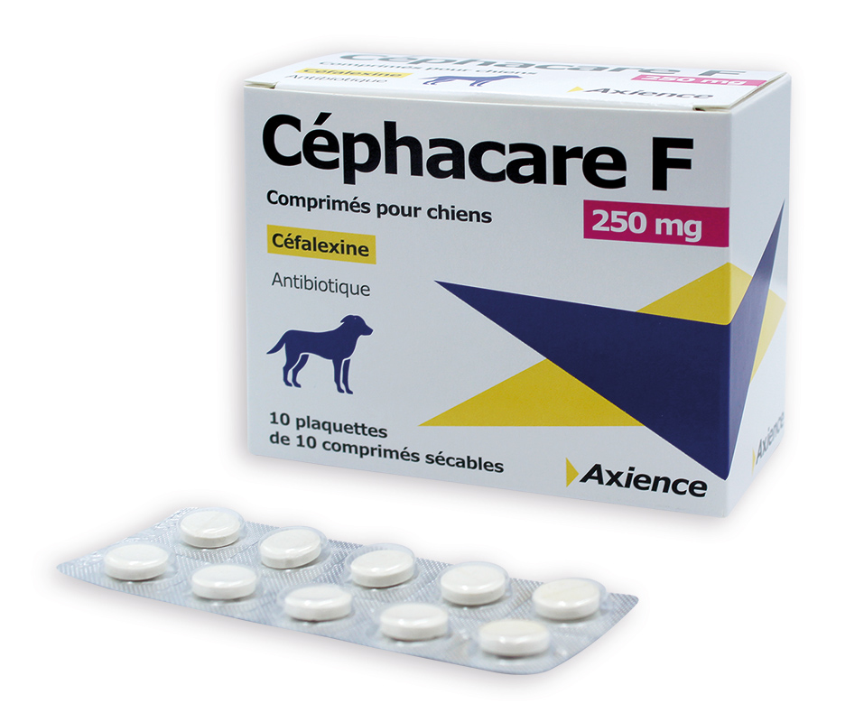 Céphacare F 250 mg