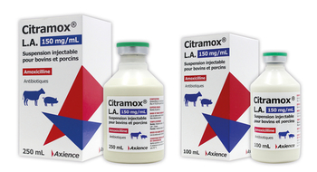 amoxicillin pbs online