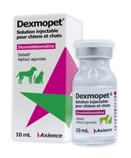 Dexmopet Solution Injectable Pour Chiens Et Chats