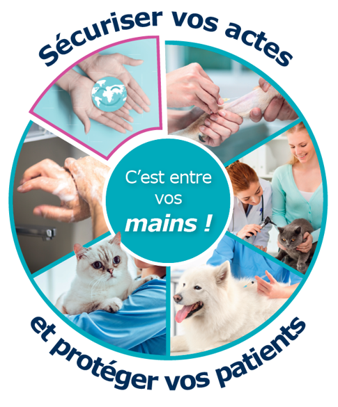 Axience, Le choix de la sérénité